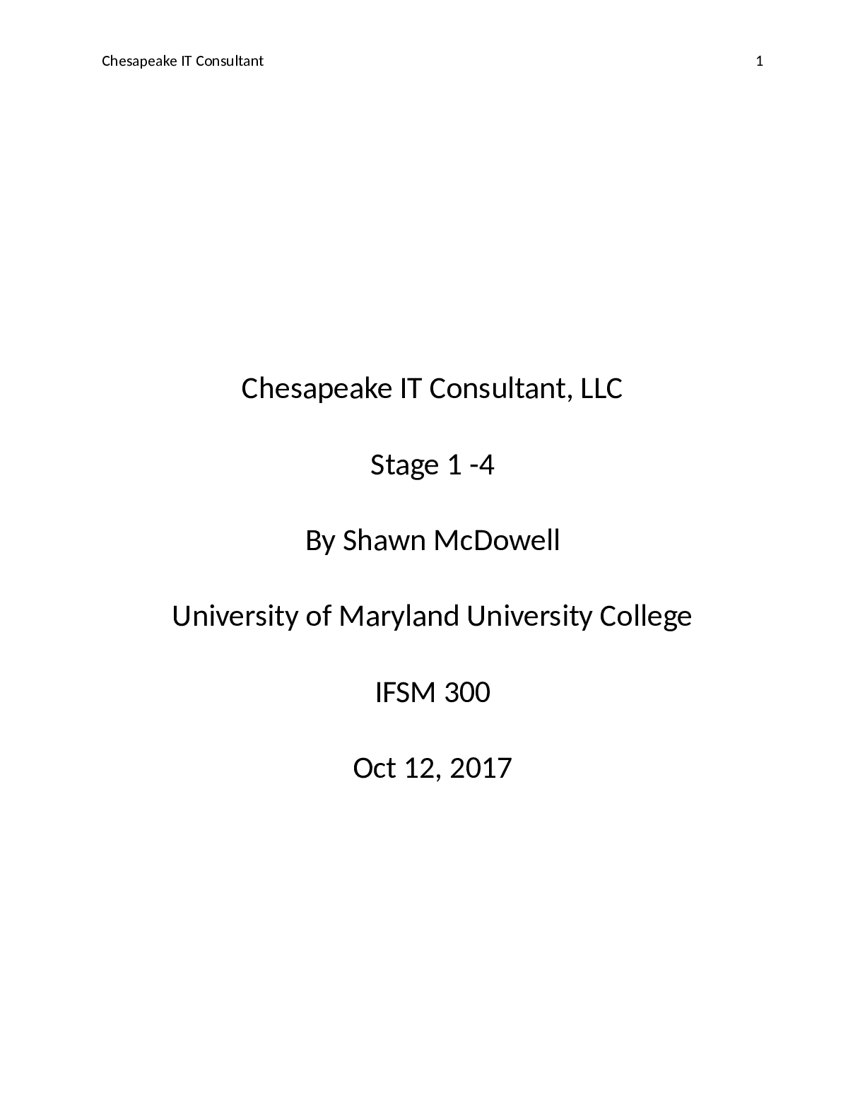 Preview image for IFSM 300_Stage 1- 4 Chesapeake IT Consultant, LLC